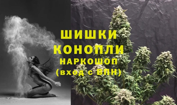 гидра Елизово