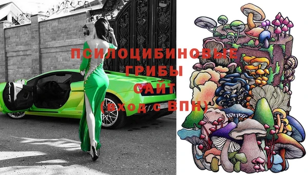 apvp Елабуга